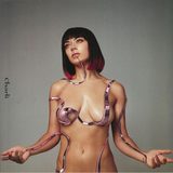 Charli sleeve