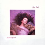 Hounds Of Love sleeve