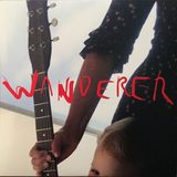 Wanderer sleeve