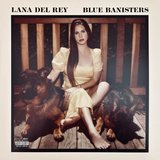 Blue Banisters sleeve