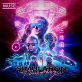 Simulation Theory sleeve