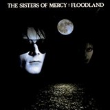 Floodland sleeve