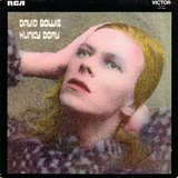 Hunky Dory sleeve