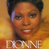 Dionne sleeve