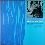 Bluesnik sleeve