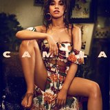 Camila sleeve