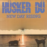 New Day Rising sleeve