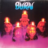Burn sleeve