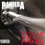Vulgar Display Of Power sleeve