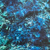 Luminescent Creatures sleeve