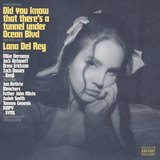 Did You Know That There's A Tunnel Under Ocean Blvd sleeve