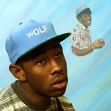 Wolf sleeve