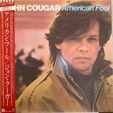 American Fool sleeve