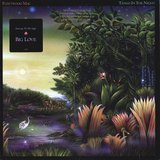 Tango In The Night sleeve