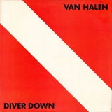 Diver Down sleeve