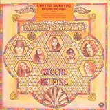 Second Helping sleeve