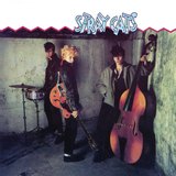 Stray Cats sleeve