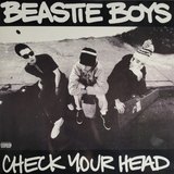 Check Your Head sleeve