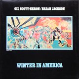 Winter In America sleeve