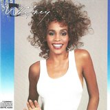 Whitney sleeve