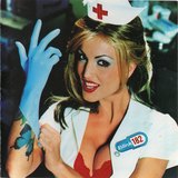 Enema Of The State sleeve