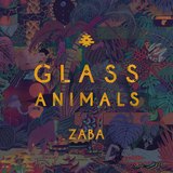 ZABA sleeve