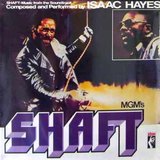Shaft sleeve