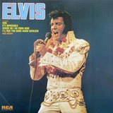 Elvis sleeve